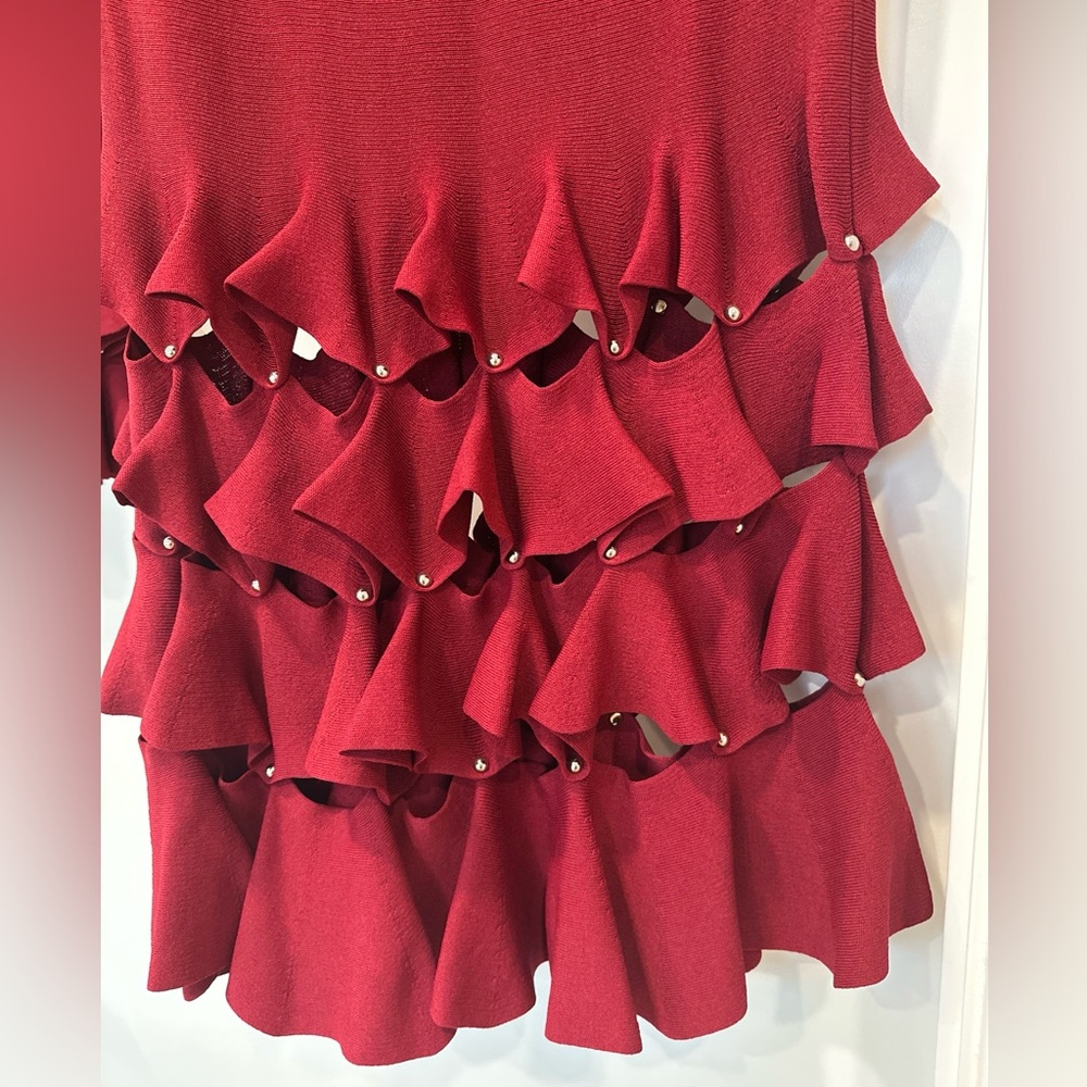 Jonathan Simkhai Red Ruffled Skirt Set - Picture 3 of 12